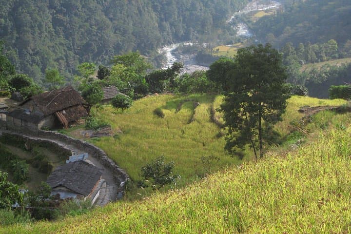 Jhinu Danda Hot Spring Trek from Pokhara: Ghandruk to Natural Hot Pools photo 4