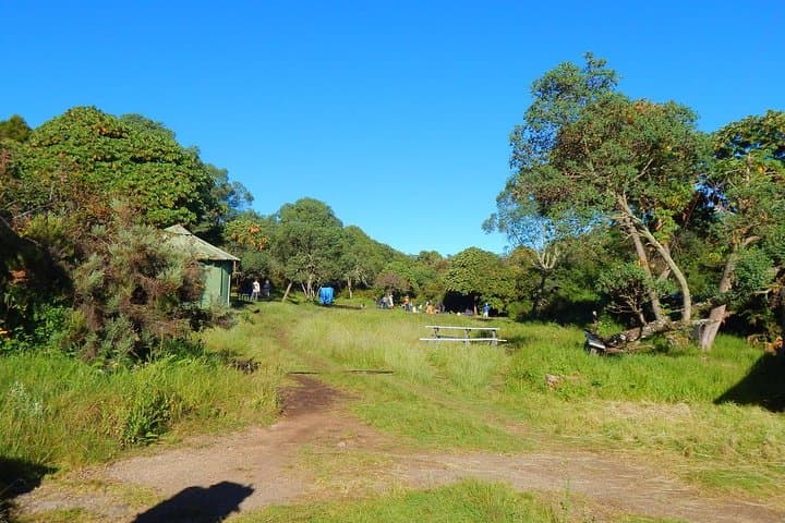 7-Day Machame Route Climb of Mount Kilimanjaro: Complete Guide photo 4