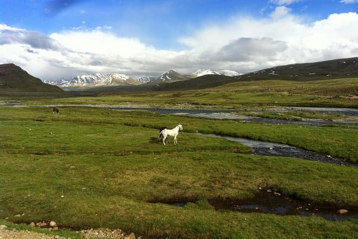 9-Day Skardu, Deosai & Rama Meadows Tour — High-Altitude Lakes, Valleys & Cultural Stops