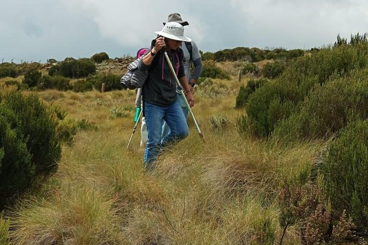 Mt Kenya 5-Day Sirimon–Chogoria Trek: Summit Lenana on a Classic Route photo 2