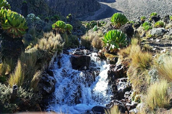 Mt Kenya 5-Day Sirimon–Chogoria Trek: Summit Lenana on a Classic Route photo 5