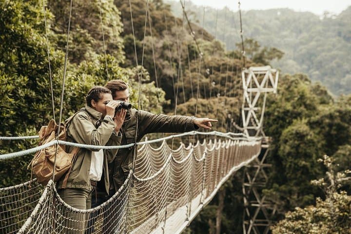 Nyungwe National Park Canopy Walk & Birding Day Trip from Kigali