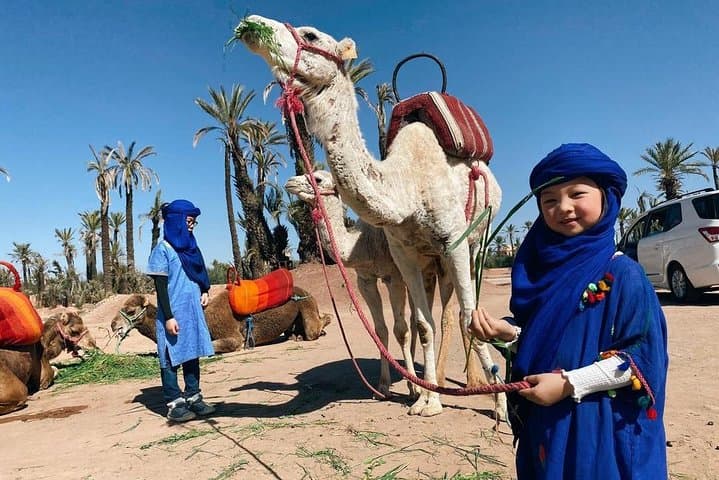 Marrakech Desert Adventure: Camel Ride & Buggy Tour in the Palmeraie photo 5