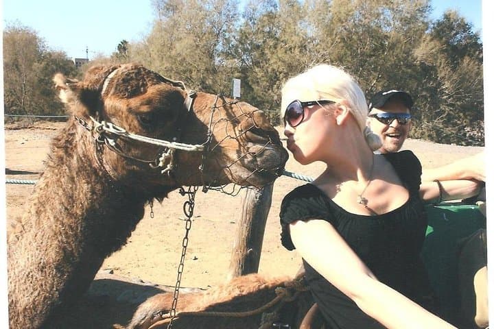 Camel Ride in the Maspalomas Dunes — 30-Minute Sahara-Style Experience