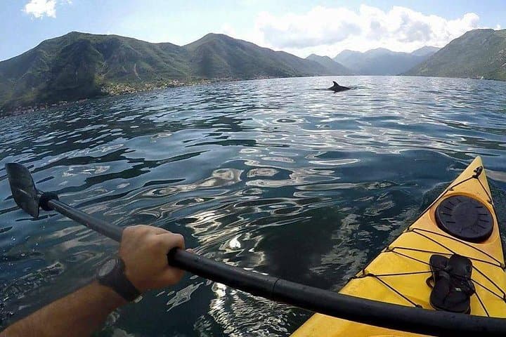 Paddle the Bay of Kotor: Guided Kayak Tour from Kotor to Prčanj photo 1
