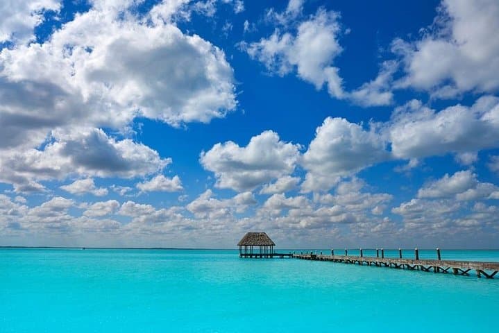 Holbox Day Trip: Isla de la Pasión & Cenote Yalahau from Cancún