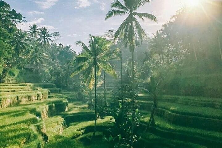 Two-Day Bali Highlights: Instagram Temples, Waterfalls & Best Beaches photo 4