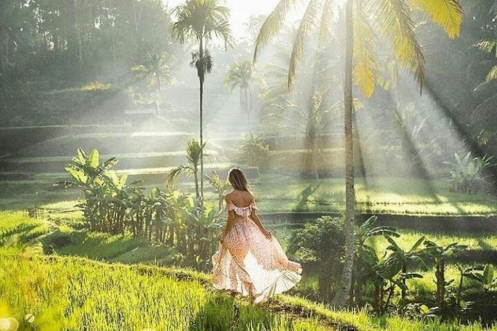 Two-Day Bali Highlights: Instagram Temples, Waterfalls & Best Beaches photo 5