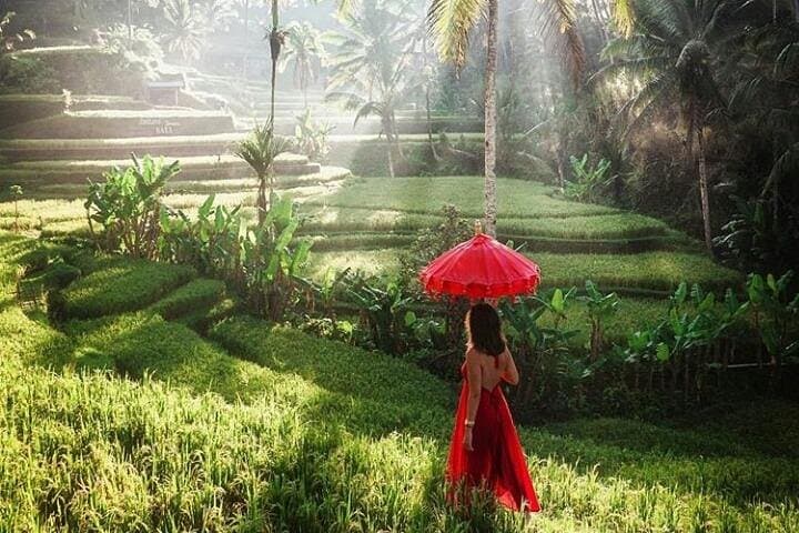 Two-Day Bali Highlights: Instagram Temples, Waterfalls & Best Beaches photo 6