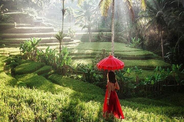 2-Day Bali Package: Gate of Heaven, Ubud & East Bali Highlights photo 3