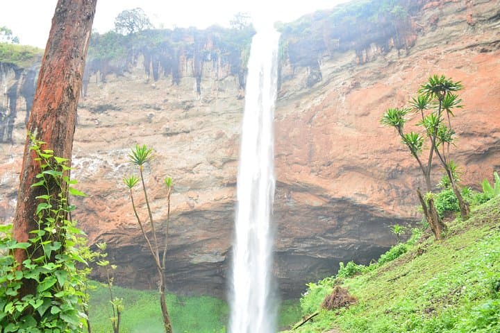 Sipi Falls Hike: Full-Day Trek on Mt. Elgon’s Waterfall Circuit photo 3