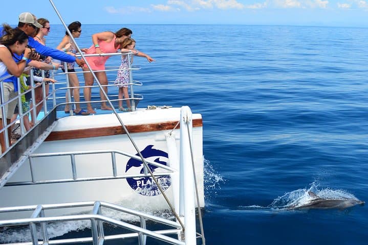 Manuel Antonio Zipline and Catamaran Combo — Canopy, Snorkel & Wildlife Cruise photo 6