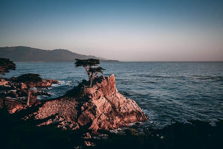 Ride the 17-Mile Drive: Electric Bike Rental from Cannery Row photo 2