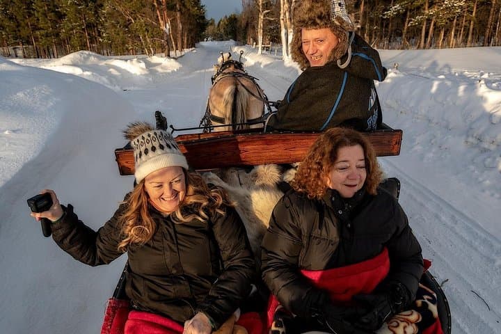 Arctic Sleigh Ride Through the Alta River Valley: Horse-Drawn Farm Tour photo 2