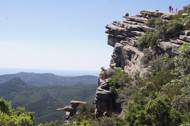 Discover Valencia: Horchata, 600m Cliffs & Traditional Paella — Private Day Tour photo 4