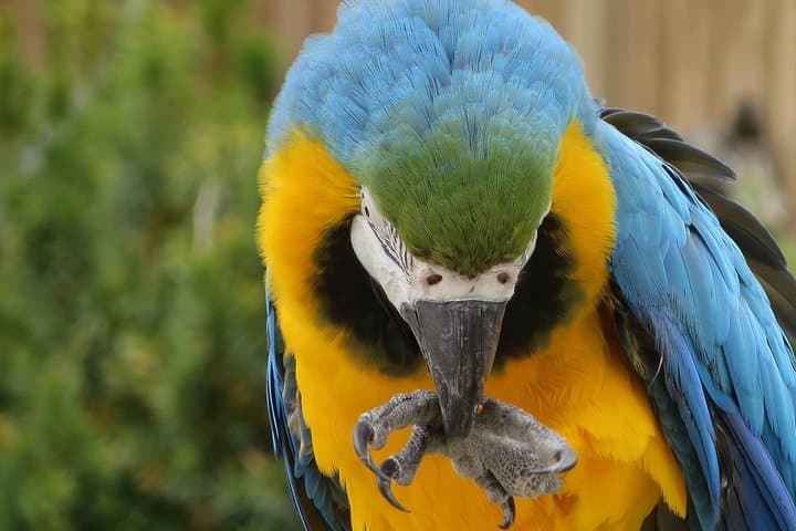 4-Day Cuyabeno Amazon Jungle Program — Wildlife, Canoes & Indigenous Culture photo 3