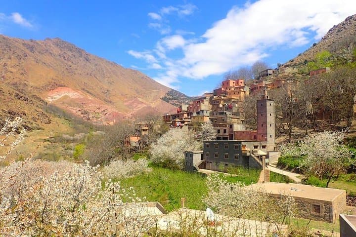 Day Trip to the Atlas Mountains: Three Valleys, Waterfalls & Berber Villages from Marrakech photo 2