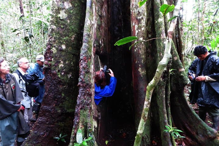 3-Day Cuyabeno Jungle Program: Canoes, Laguna Grande & Wildlife photo 3