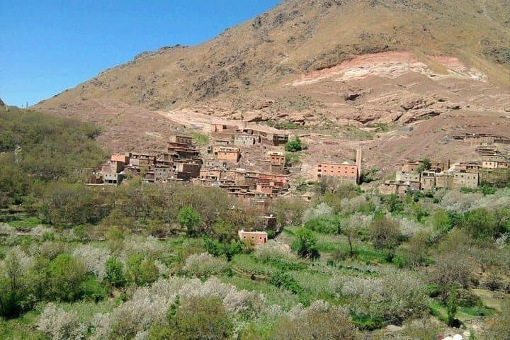 Day Trip to the Atlas Mountains: Three Valleys, Waterfalls & Berber Villages from Marrakech photo 5