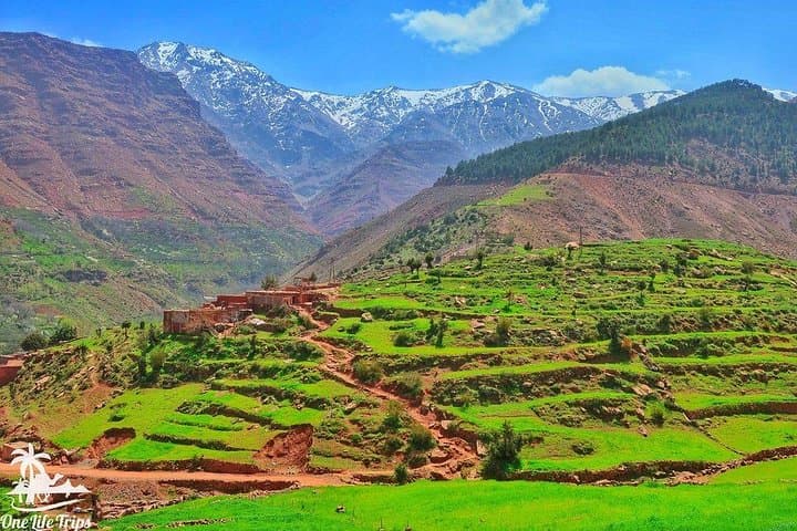 Day Trip to the Atlas Mountains: Three Valleys, Waterfalls & Berber Villages from Marrakech