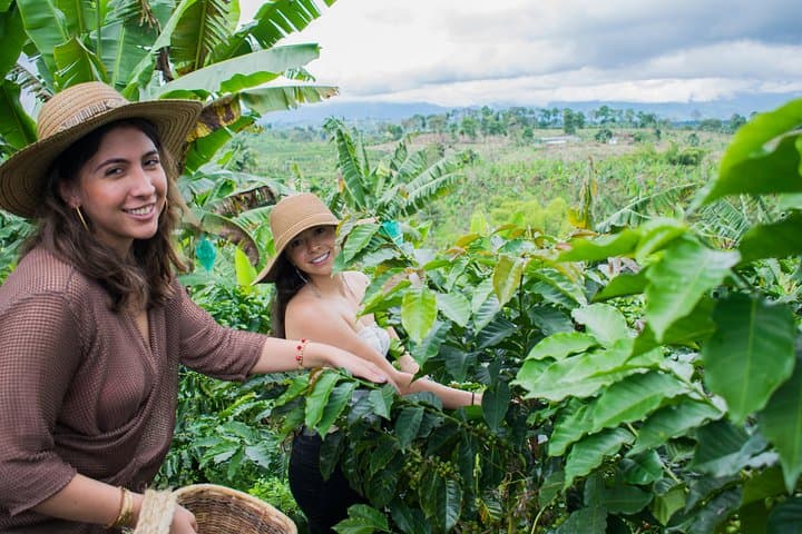 Salento Specialty Coffee Tour — Farm-to-Cup Tasting & Roastery Visit