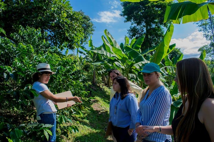 Salento Specialty Coffee Tour — Farm-to-Cup Tasting & Roastery Visit photo 2