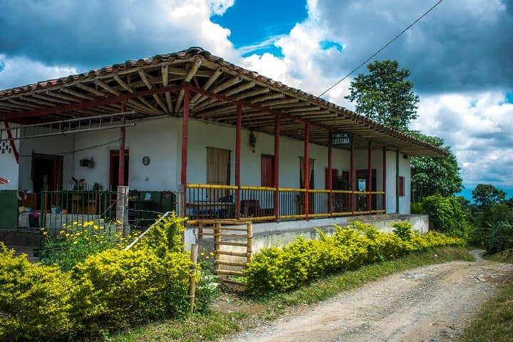 Salento Specialty Coffee Tour — Farm-to-Cup Tasting & Roastery Visit photo 5