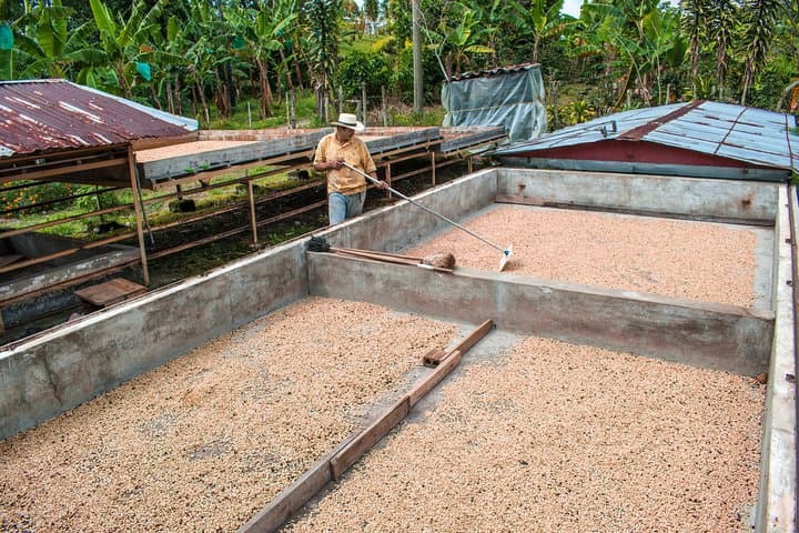 Salento Specialty Coffee Tour — Farm-to-Cup Tasting & Roastery Visit photo 6