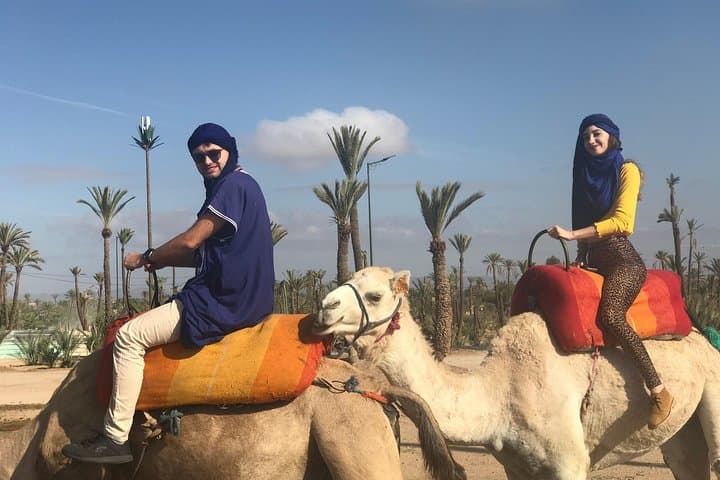 Sunset Camel Ride in Marrakech's Agafay Desert and Palmeraie