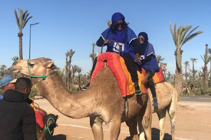 Sunset Camel Ride in Marrakech's Agafay Desert and Palmeraie photo 3