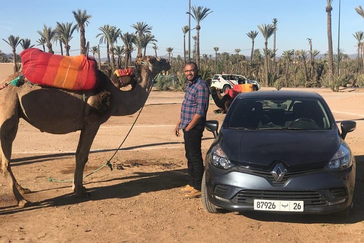 Sunset Camel Ride in Marrakech's Agafay Desert and Palmeraie photo 5