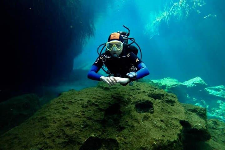 Beginner Scuba at Casa Cenote: Two-Person Intro from Playa del Carmen photo 5