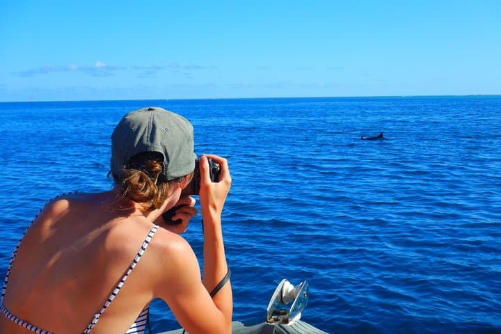 Half-Day Moorea Lagoon Boat Tour — Snorkel with Turtles, Rays & Sharks photo 5