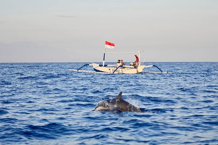 Lovina Dolphin Tour & Wanagiri Hidden Hills — Full-Day Bali Highlights photo 2