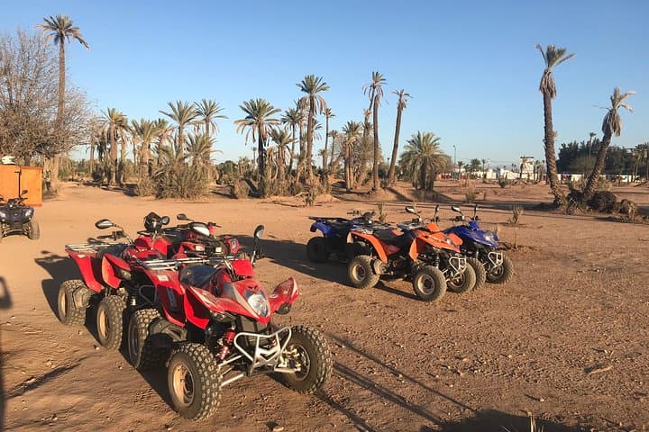 Quad Biking the Marrakech Palmeraie: Half-Day Oasis Ride
