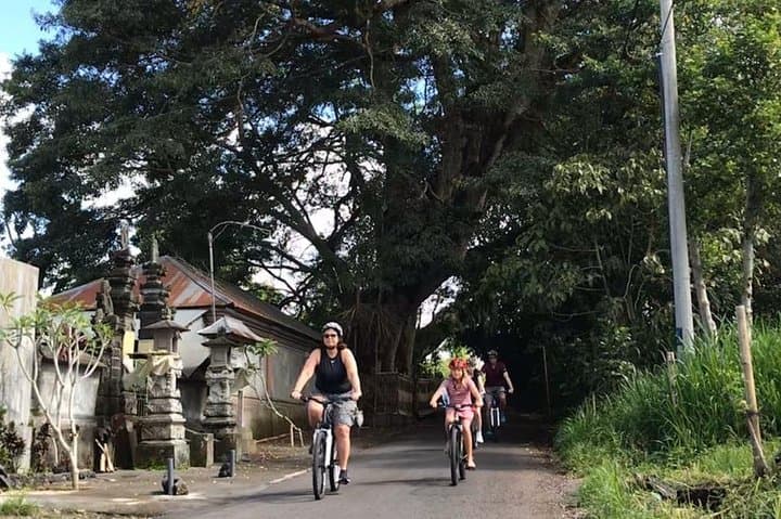 Ubud Half-Day Cycling Tour: Kintamani Villages, Coffee & Rice-Field Rides photo 5