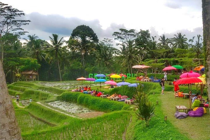 Ubud Half-Day Cycling Tour: Kintamani Villages, Coffee & Rice-Field Rides photo 6