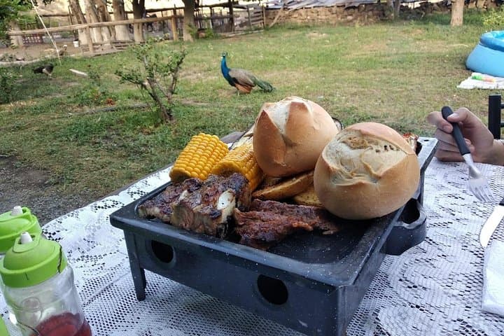 Horseback Riding and Mountain Roast near Mendoza — Gaucho Ride to 2000m Viewpoint photo 2