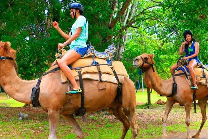 Yaaman Adventure Park: Private Transfer and Full-Day Adventure in Ocho Rios photo 5