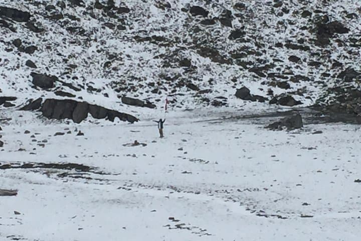10-Day Annapurna Base Camp Trek From Pokhara: Poon Hill Sunrise to ABC photo 4