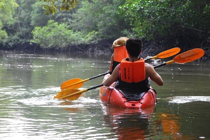 Early-Start Mangrove & Limestone Canyon Kayak Tour in Krabi photo 5