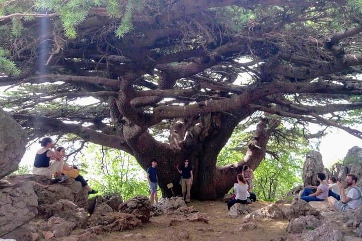 Day Tour to Qadisha Valley, Bcharre & Cedars — Small-Group Cultural Drive from Beirut photo 3