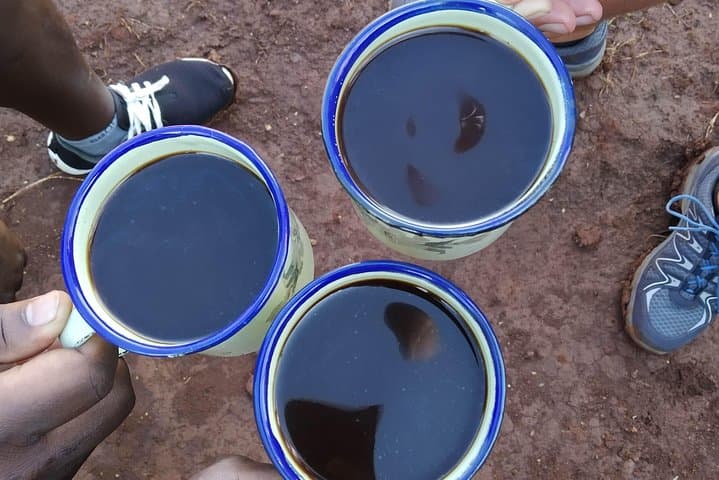 Mount Elgon Village Coffee Tour — Hands-On Ugandan Coffee Experience photo 5