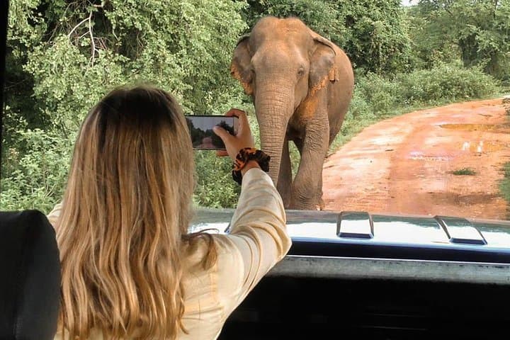 Udawalawe from Hikkaduwa: 2-Day Elephant Safari & Wildlife Escape photo 4