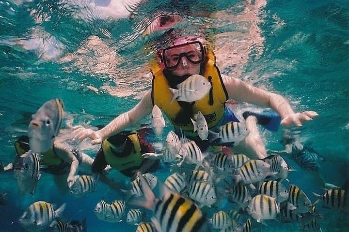 Full-Day Racha Noi & Racha Yai Snorkeling from Phuket — Top Snorkel Spots and Practical Tips photo 3
