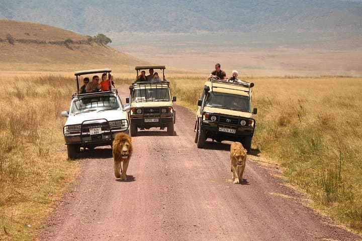 2-Day Lodge Safari: Lake Manyara & Ngorongoro Crater — Big Five in 48 Hours photo 1