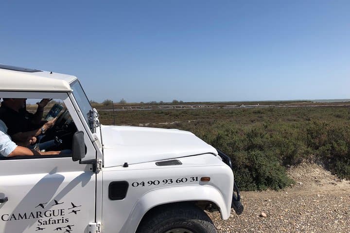 Private 4x4 Camargue Safari from Arles — 4-Hour Wildlife & Wetlands Tour photo 1