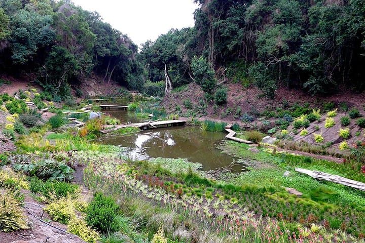 Parque Tricao & Pomaire Day Tour from Santiago — Wetlands, Aviary and Pottery photo 3