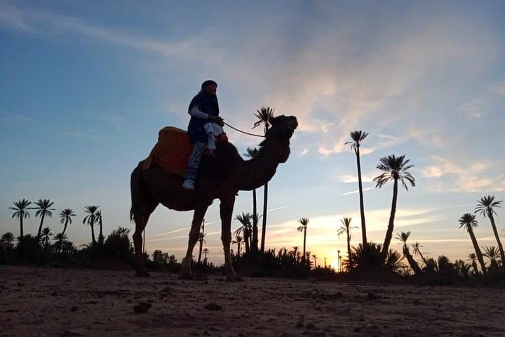 Sunset Camel Ride in Marrakech's Agafay Desert and Palmeraie photo 4