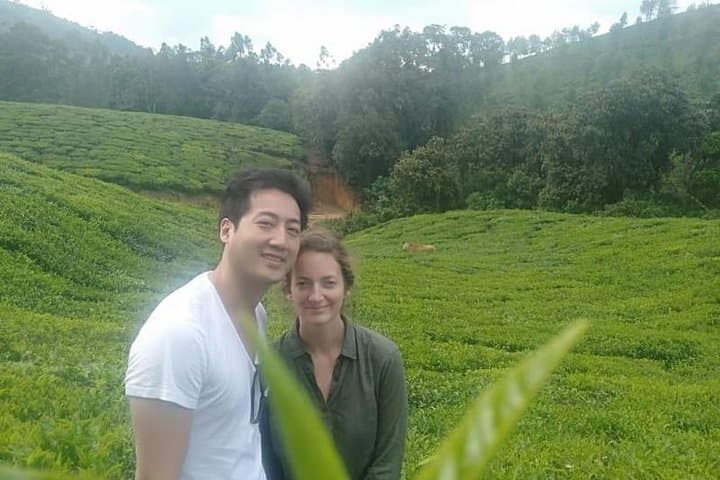 2-Night Misty Munnar Sightseeing: Tea Gardens, Waterfalls & Eravikulam